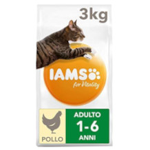 Iams kattmat