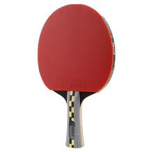 Bollsport