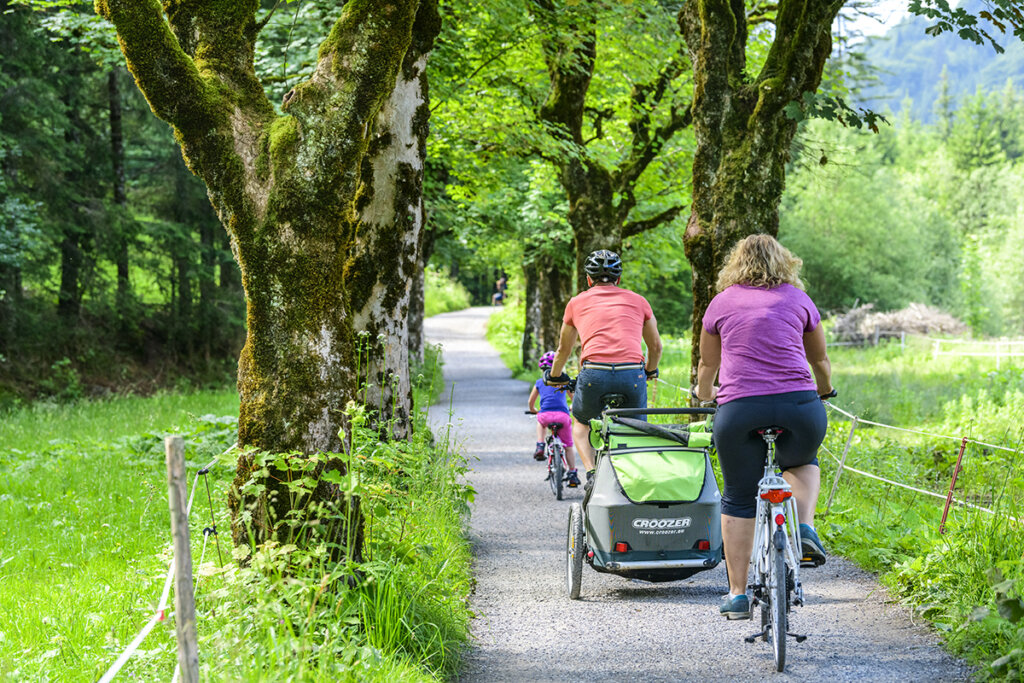 Familj som cyklar med cykelbärare