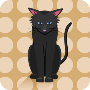 äldre katter