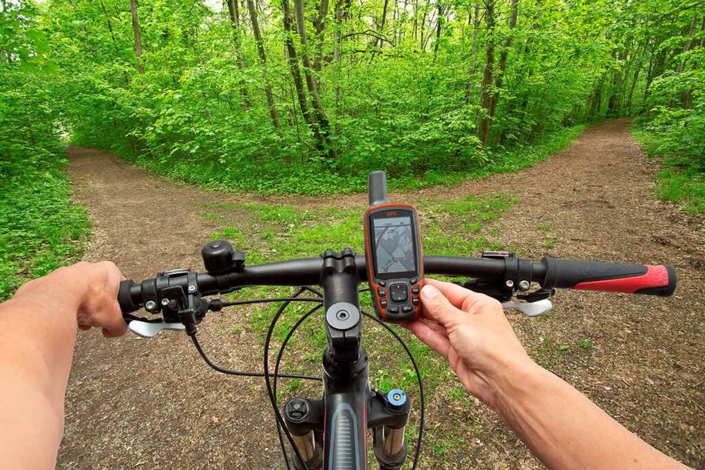 Cyklist tittar på sin navigator innan han korsar en stig i skogen