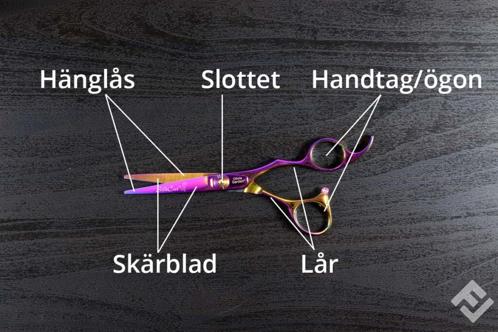anatomi av en frisörsax