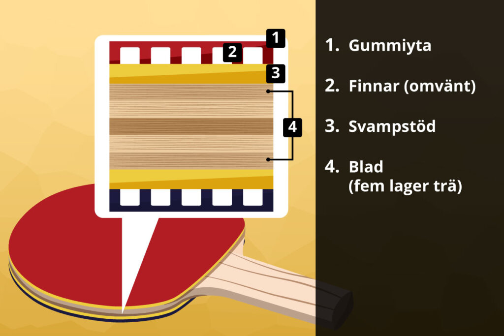 dissection_of_the_layers_of_wood_sponge_and_rubber
