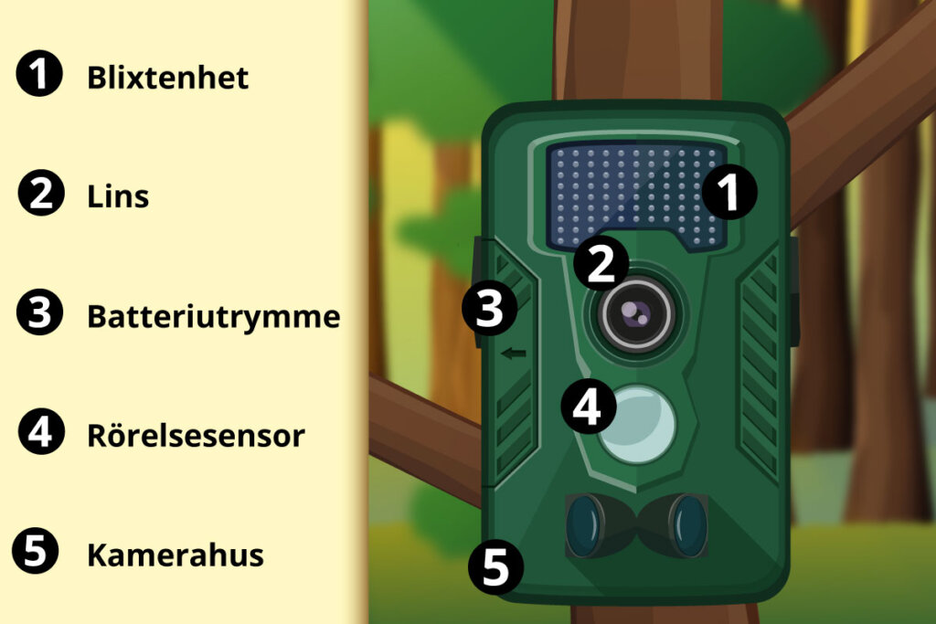 kamera i skogen